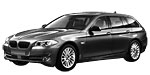BMW F11 C222F Fault Code